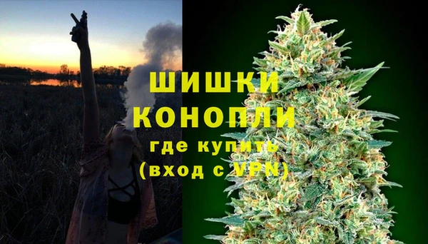 ГАЛЛЮЦИНОГЕННЫЕ ГРИБЫ Куйбышев